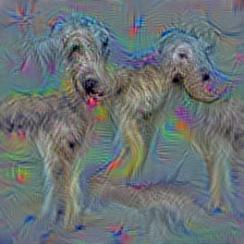 n02090622 borzoi, Russian wolfhound